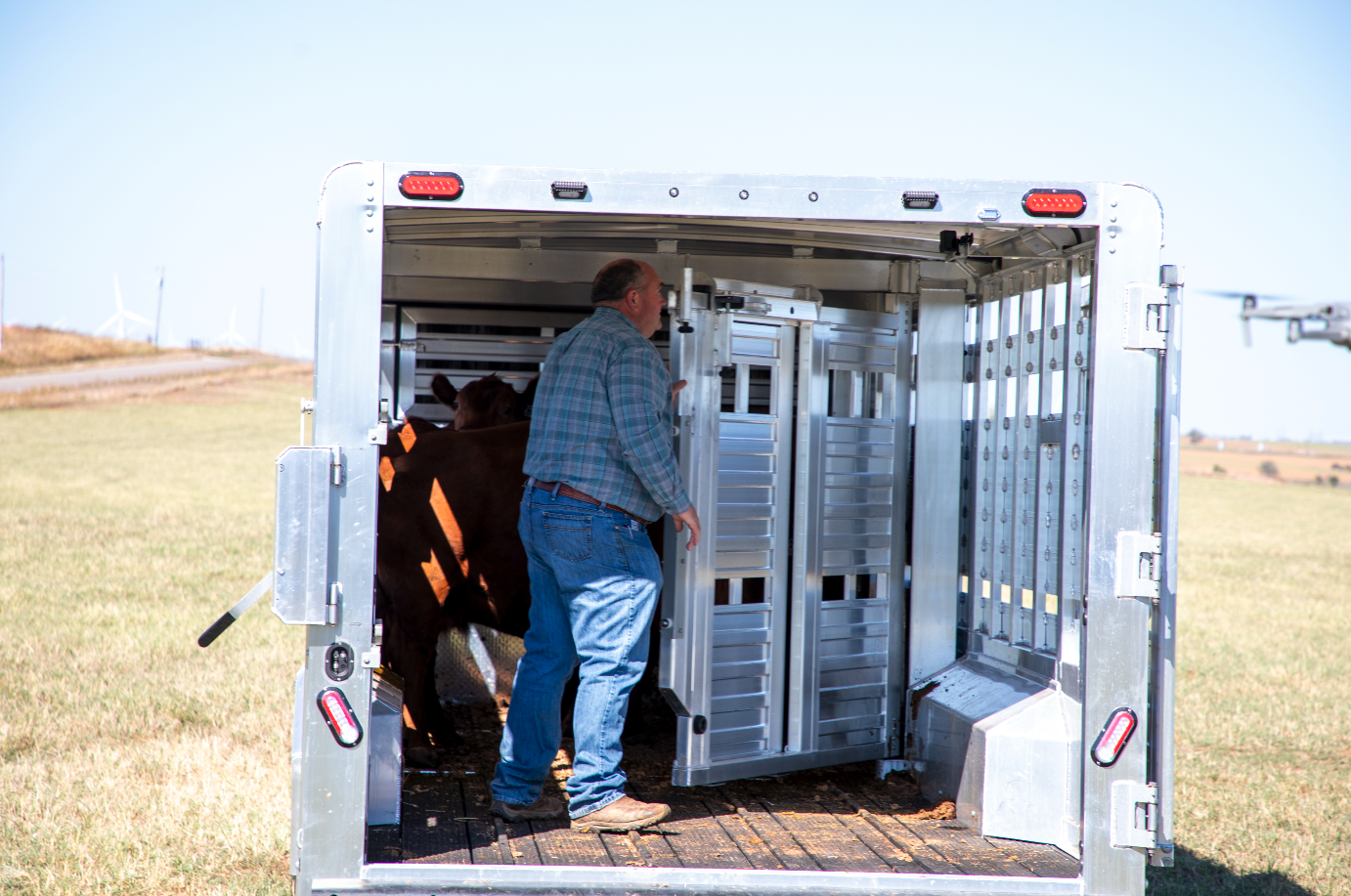 Farmer opening cattle trailer gates