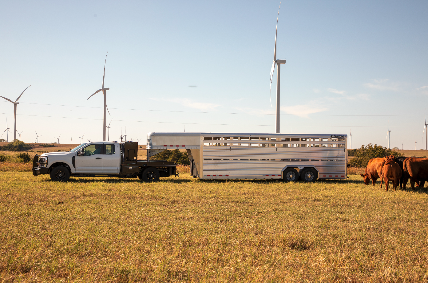 View at a large cattle trailer